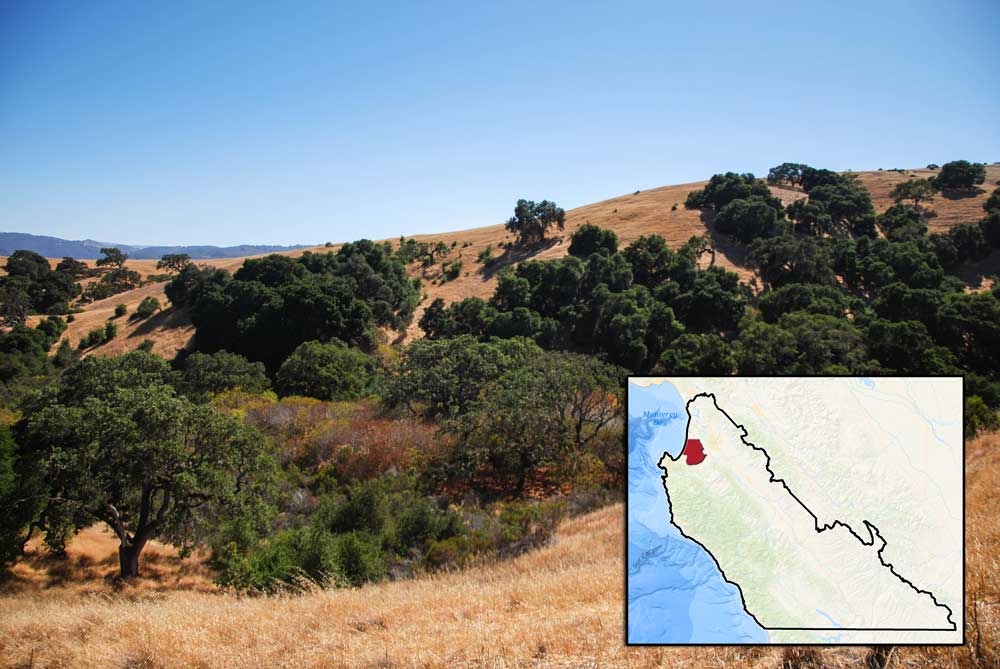 landWatch Fort Ord Area Issues & Actions