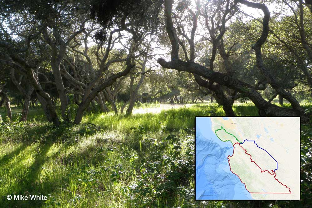 landWatch LandWatch Issues & Actions