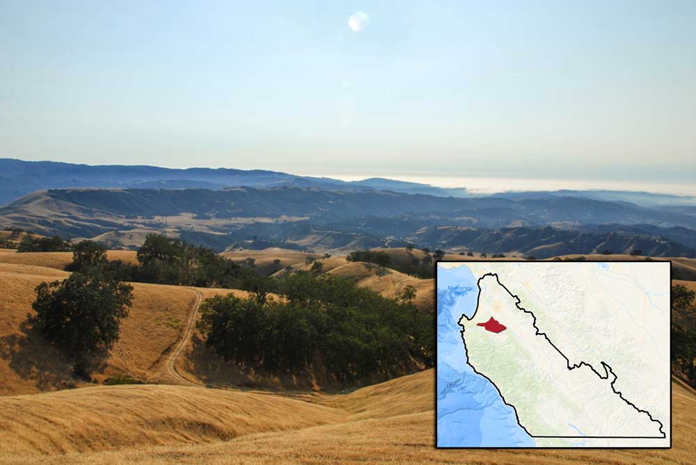 landWatch LandWatch Issues & Actions